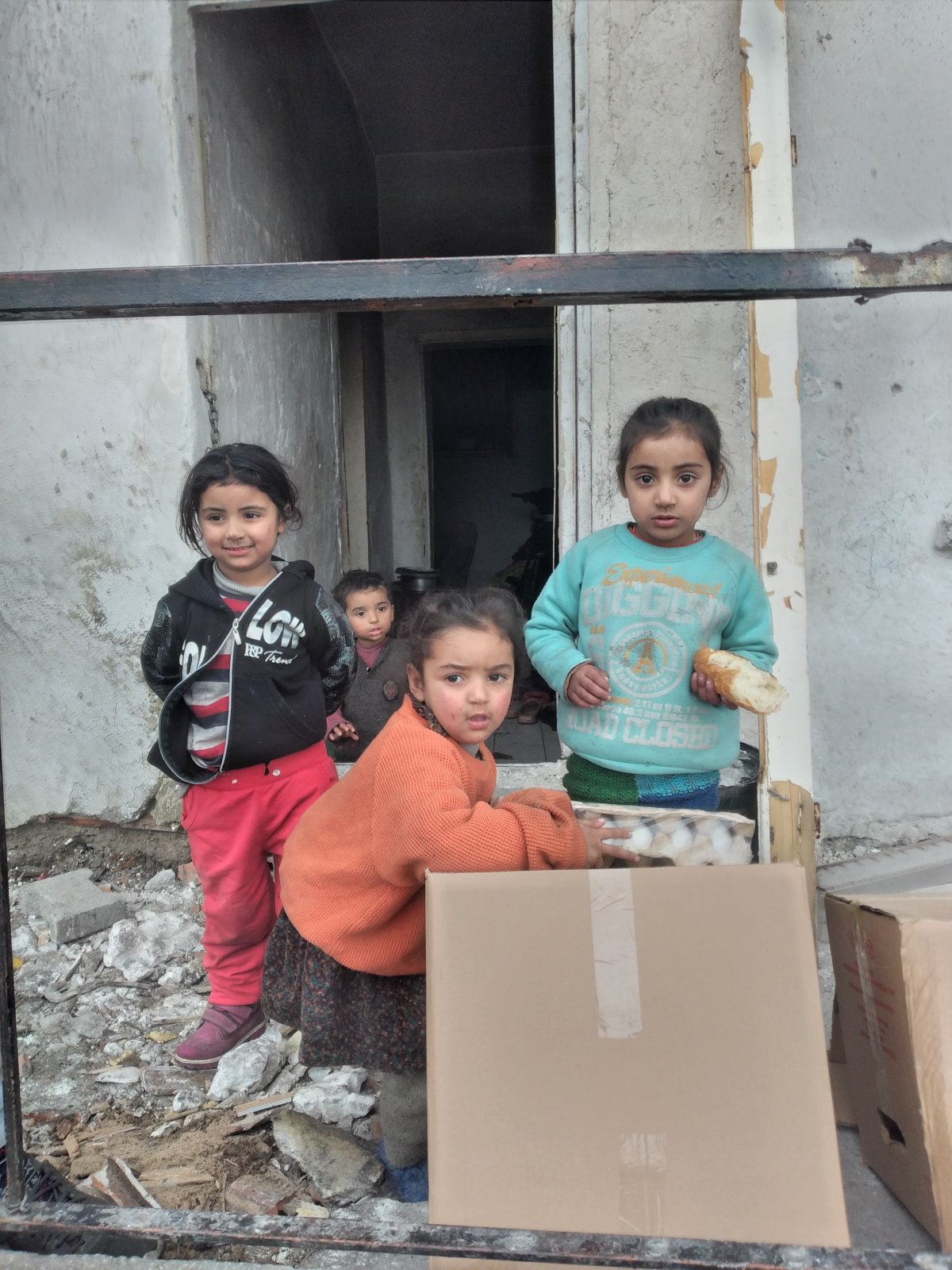 GIDA KOLİSİ DAĞITIMI